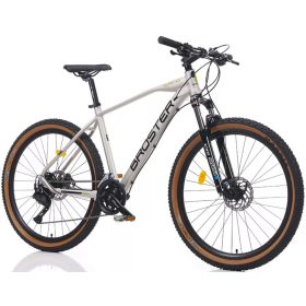   Broster Rangver 29" könnyűvázas MTB kerékpár 19" Szürke