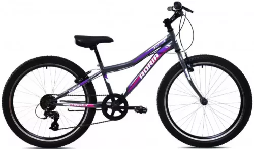 Adria Stinger 24" gyerek kerékpár grafit-lila