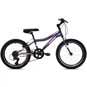 Adria Stinger 20" gyerek kerékpár Grafit-Lila