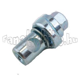 Fékbetét tartó csavar