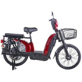 ZT-01 48V 12AH 480W 22" 25km/h elektromos robogó